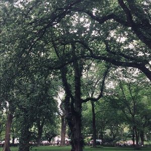 Meet your Posher, Kyra